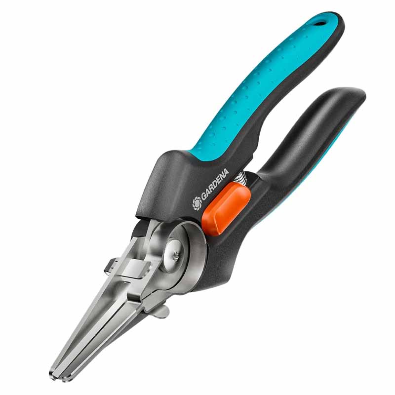 zoom